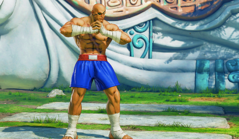 Sagat